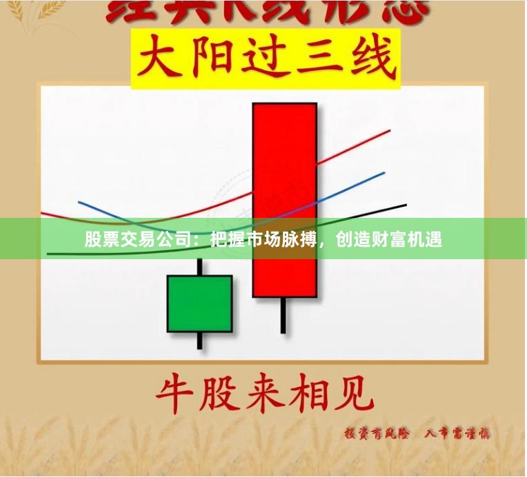 股票交易公司：把握市场脉搏，创造财富机遇